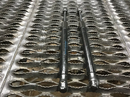 04 05 06 07 08 Audi A4 Sedan Rear Trunk Shock Strut Support Left Right 2pcs OEM