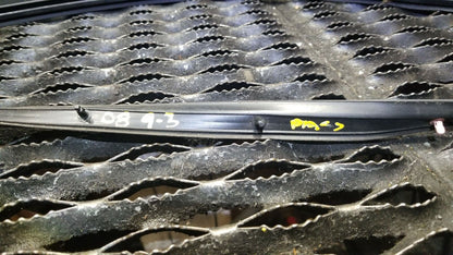 08 09 10 11 Saab 93 9-3 Weatherstrip Seal Right Passenger Side OEM