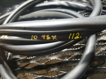 2009 2010 2011 2012 2013 Acura Tsx Rear Left Driver Door Weatherstrip Seal OEM