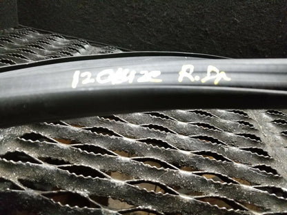 11 12 13 14 15 Chevy Cruze Rear Door Driver Side Glass Weatherstrip Seal OEM