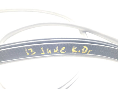 11 12 13 14 Nissan Juke Rear Door Seal Driver Left Side Weatherstrip OEM