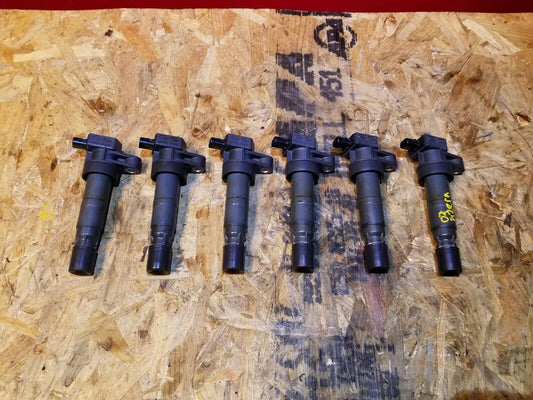 06 07 08 09 10 Hyundai Azera 3.8l Ignition Coil 6pcs OEM