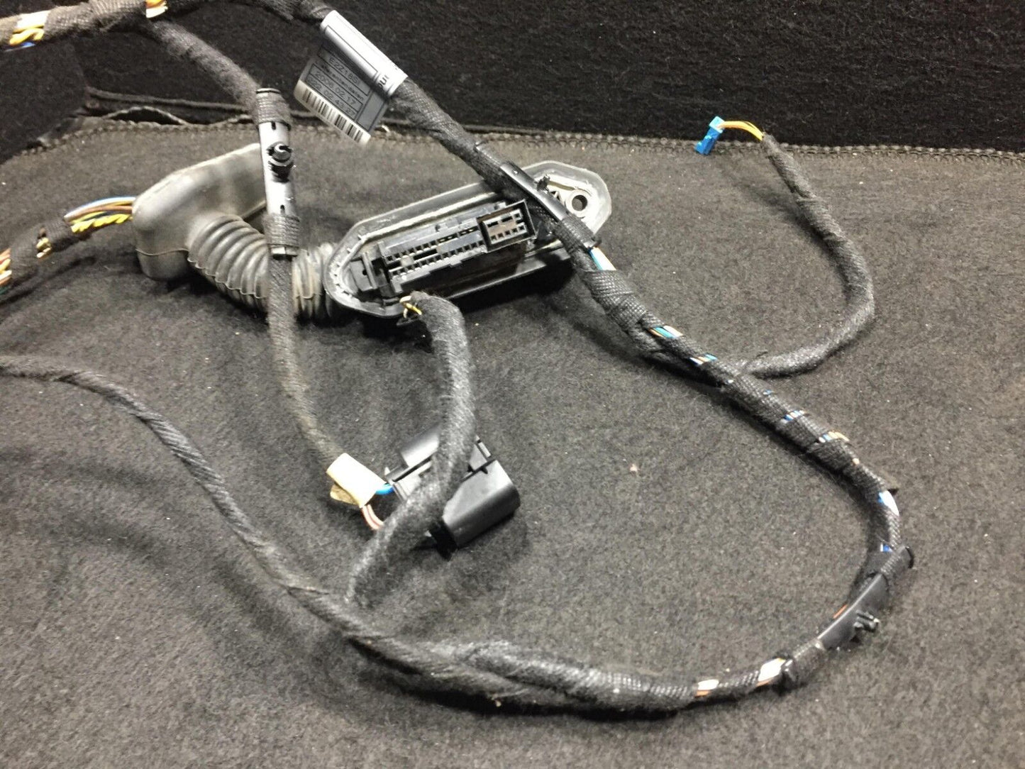 04 05 06 BMW X3 E83 Rear Left Driver Side Door Wire Wiring Harness OEM D34