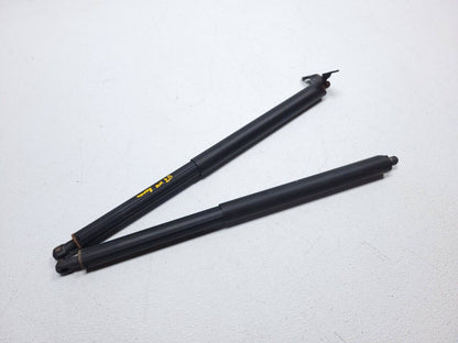 06 07 08 09 10 11 Mercedes Ml500 Rear Trunk Lid Shock Strut Support Pair OEM