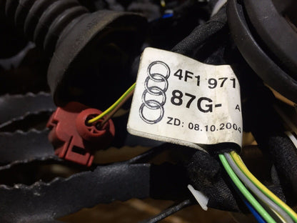05 06 07 08 Audi A6 C6 Rear Door Wire Harness Driver Or Passenger Side Oem