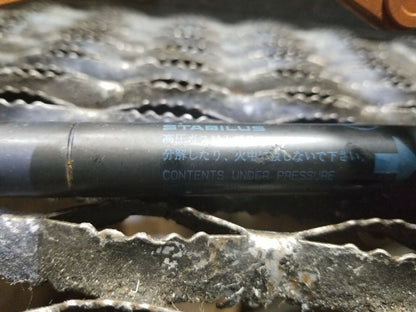 04 05 Nissan 350z Convertible Trunk Lid Hinge W/ Shock Strut (pair) OEM