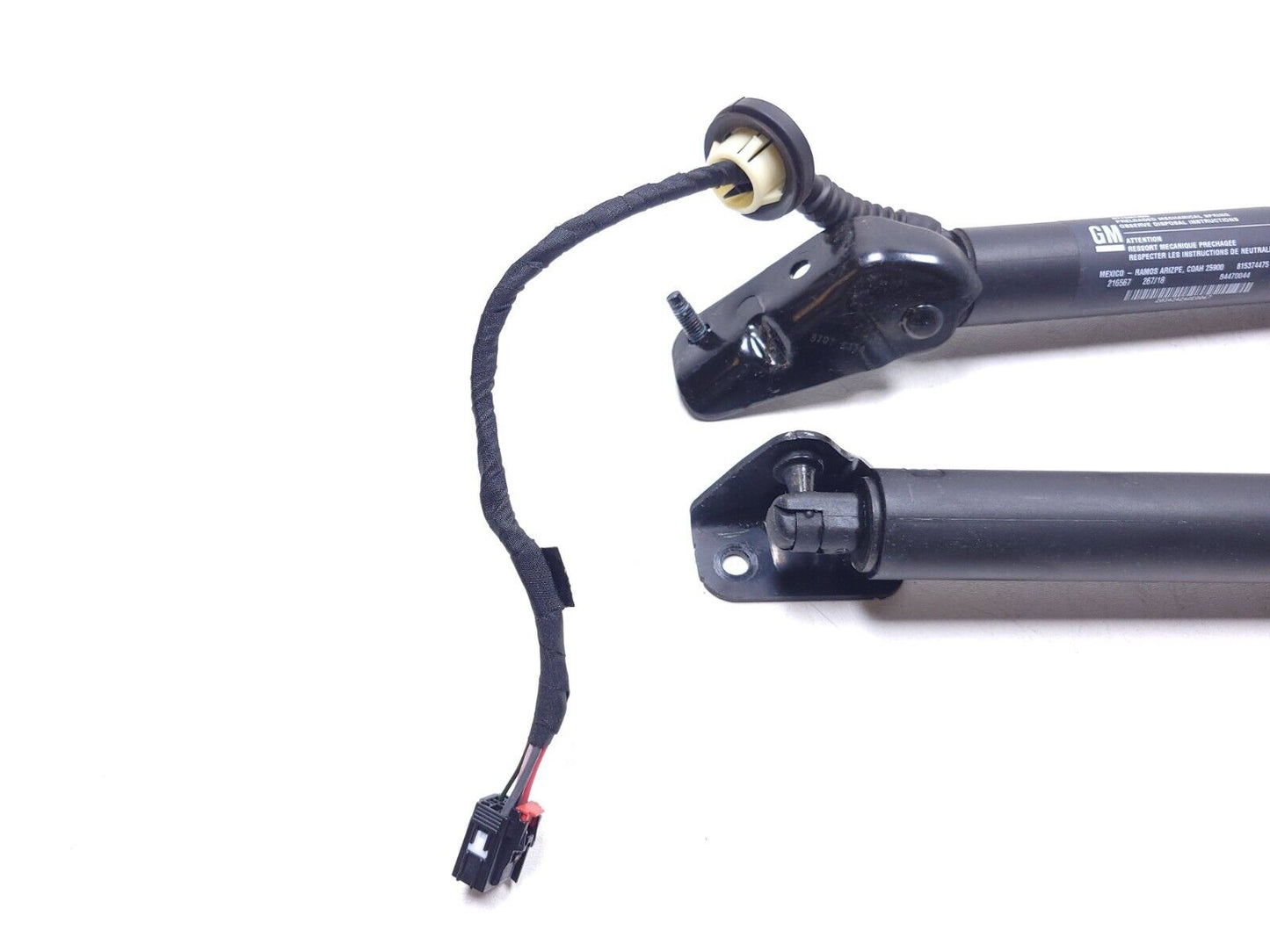 18 19 20 21 Chevrolet Equinox Power Liftgate Support Lift Cylinder Pair OEM