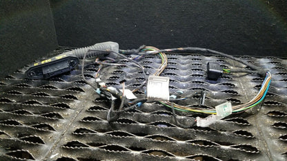 09 10 11 12 BMW 328xi E90 Rear Left Door Wire Wiring Harness Driver Side OEM