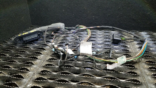 09 10 11 12 BMW 328xi E90 Rear Left Door Wire Wiring Harness Driver Side OEM