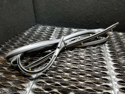 06 07 08 09 Cadillac STS Rear Right Passenger Door Inner Weatherstrip Seal OEM
