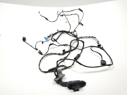 09 10 11 12 BMW 750li Rear Left Driver Side Door Wire Harness OEM