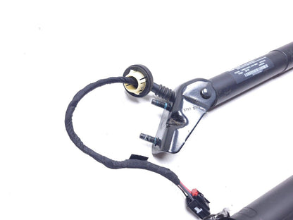 18 19 20 21 Chevrolet Equinox Power Liftgate Support Lift Cylinder Pair OEM