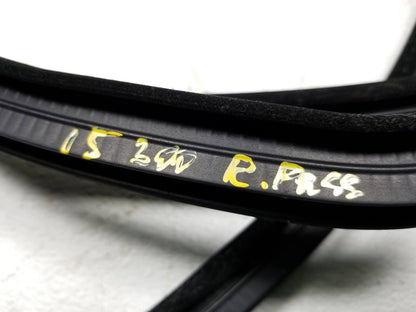 15 16 17 18 19 Chrysler 300 Rear Right Pass Side Door Weatherstrip Seal OEM 42k