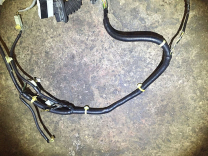 02 - 06 Honda Cr-v Crv Rear Tailgate Wire Wiring Harness OEM