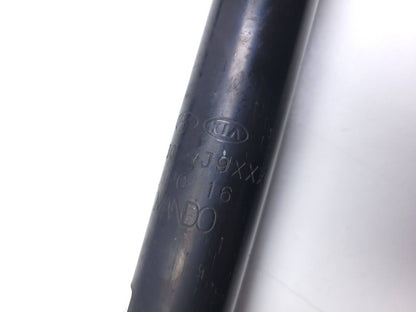 18-21 Hyundai Kona Rear Shock Strut Absorber Left & Right OEM