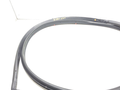 14 15 16 Hyundai Elantra Door Weatherstrip Seal Rear Right Pass Side OEM Sedan