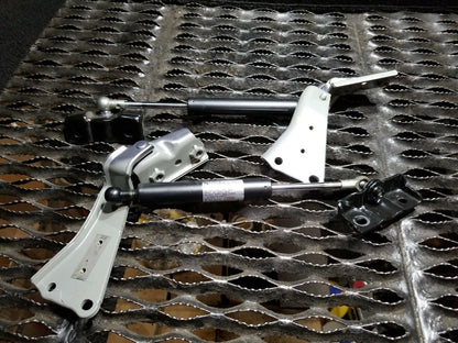 06 07 08 Acura Rl Trunk Lid Hinge Shock Strut Left & Right Pair OEM