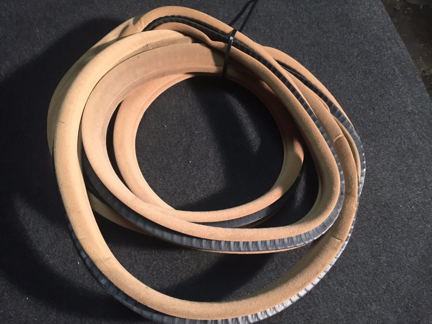 02 03 04 05 BMW 745i E65 Front Right Passenger Door Weatherstrip Seal OEM