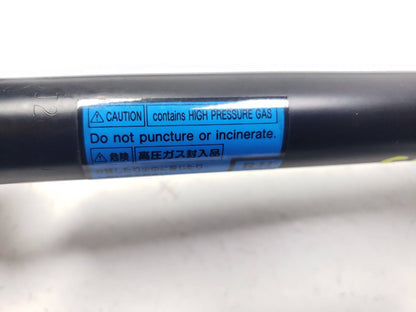1999 - 2004 Nissan Pathfinder Rear Tailgate Shock Strut Support Pair OEM